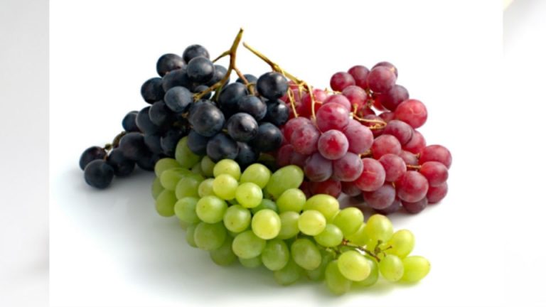 Las uvas para diabeticos son y deben ser parte de nuestra dieta en el proceso de regular la diabetes.